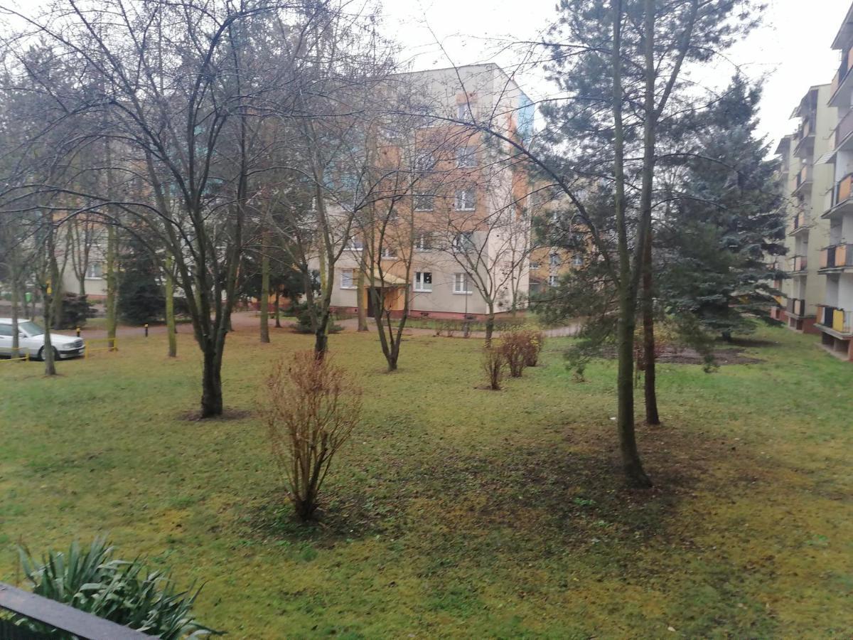 Apartament Terebelska P Biała Podlaska Exteriér fotografie